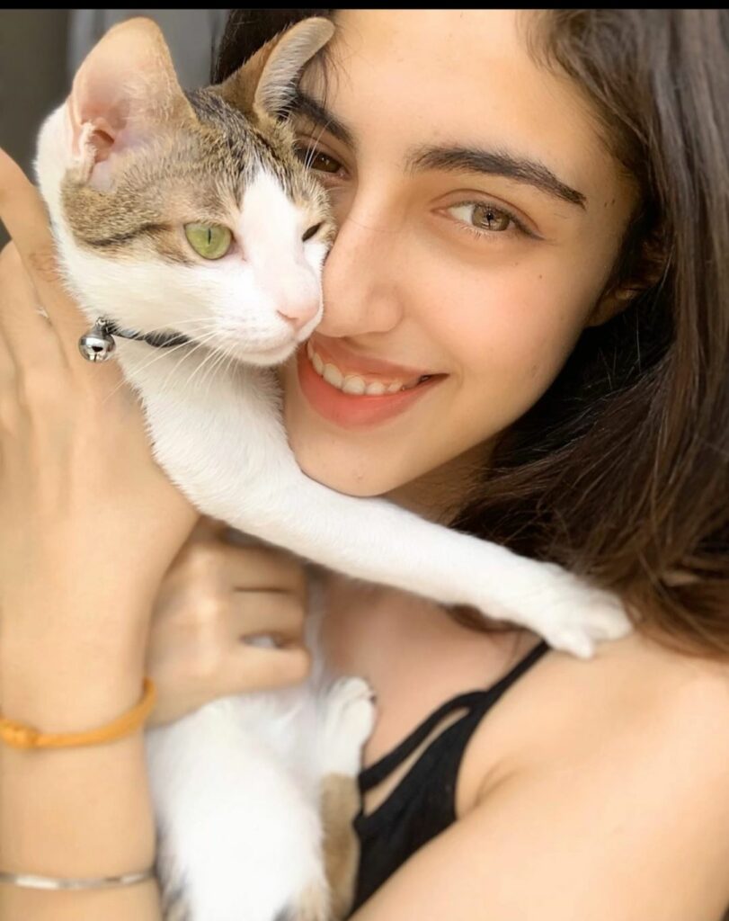 kaur with cat